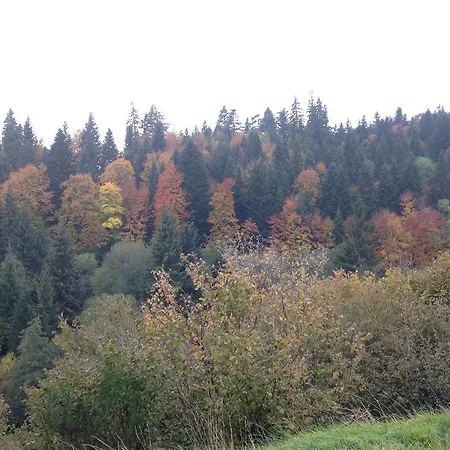 Appartement La Vue Sur Le Paradis Chambon-sur-Lac