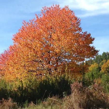 Apartment La Vue Sur Le Paradis
