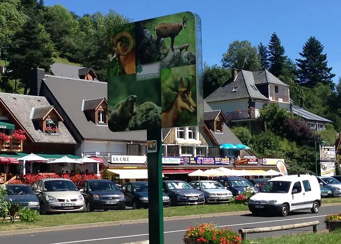 La Vue Sur Le Paradis Chambon-sur-Lac
