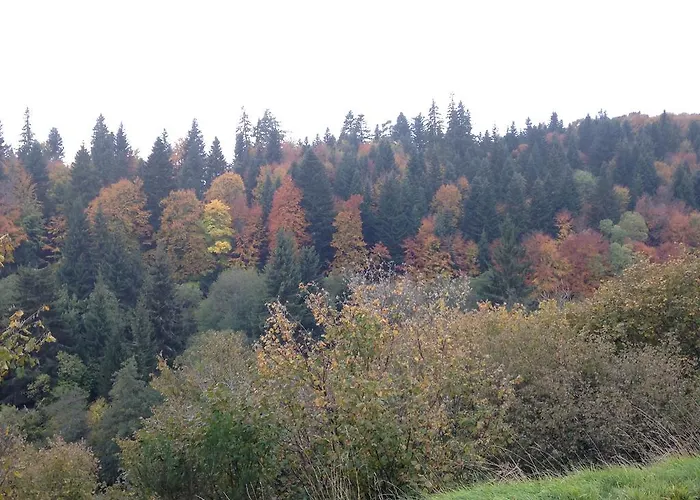 Appartement La Vue Sur Le Paradis Chambon-sur-Lac