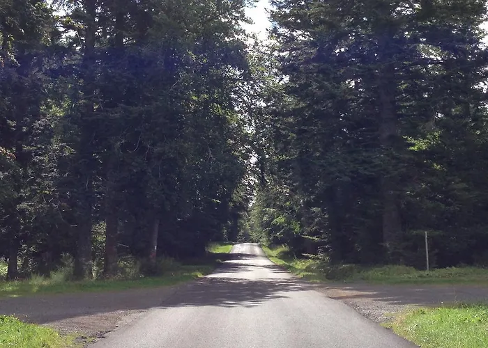 Appartement La Vue Sur Le Paradis Chambon-sur-Lac